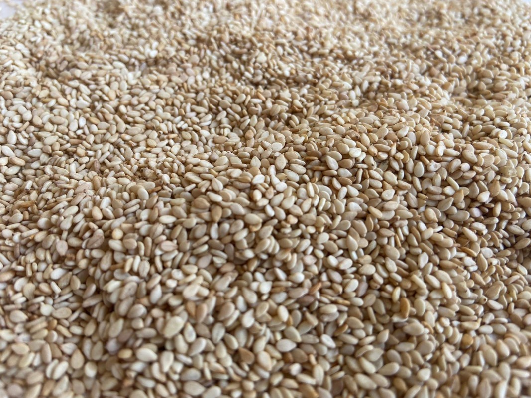 Sesame Seeds from Nigeria